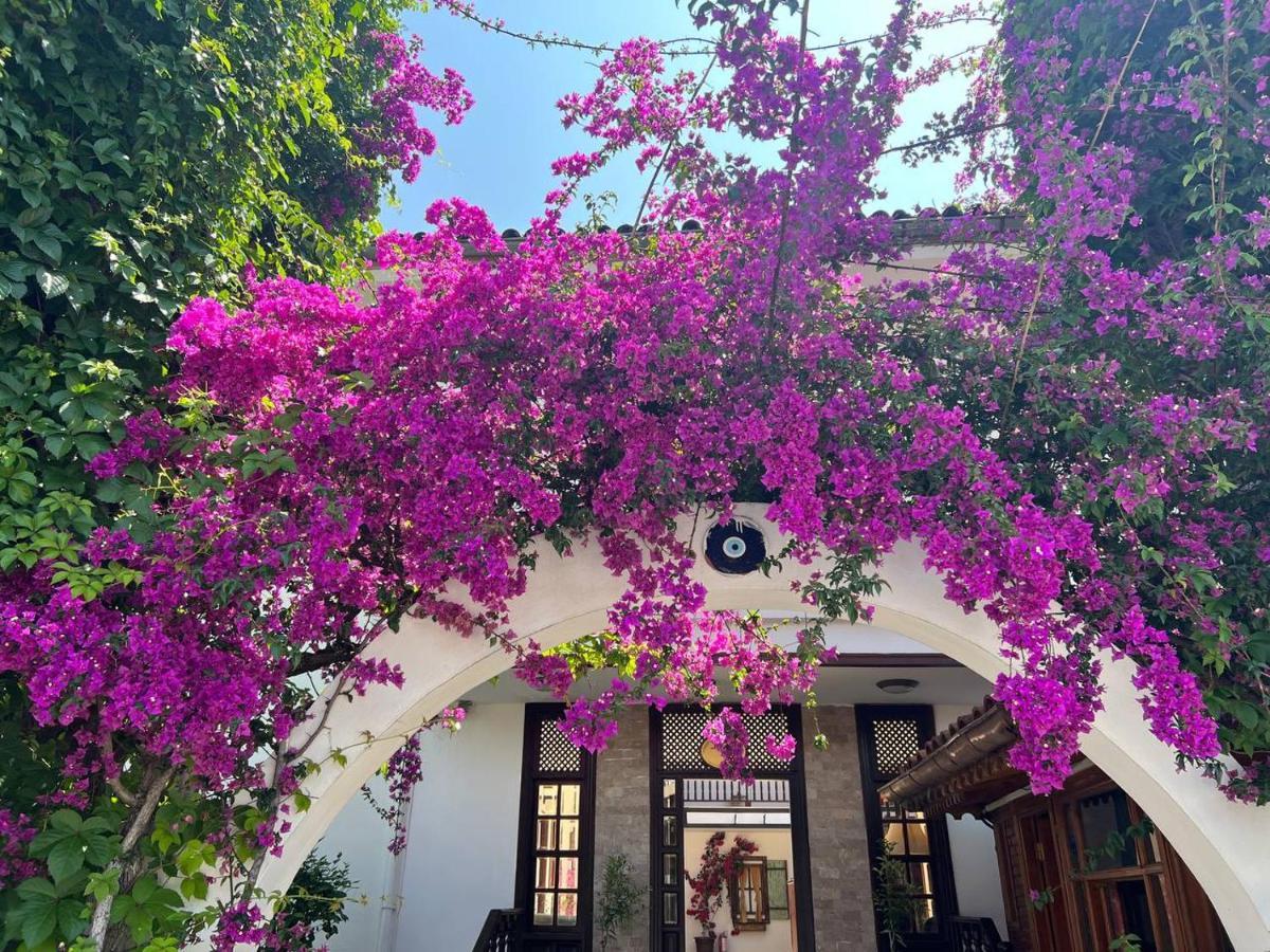 Palma Rosa Hotel Camyuva 외부 사진